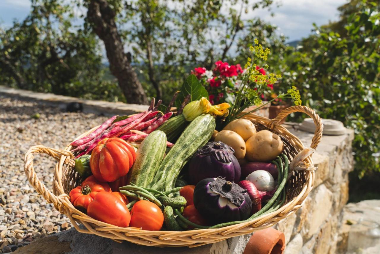 Agriturismo Le Fonti ポンタッシエーヴェ エクステリア 写真