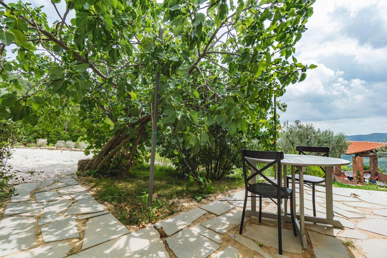Agriturismo Le Fonti ポンタッシエーヴェ エクステリア 写真